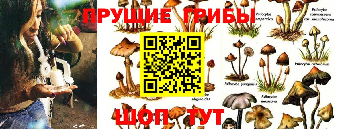 Псилоцибиновые грибы Cubensis  Псилоцибиновые грибы Cubensis  Дзержинский  Вход с VPN 