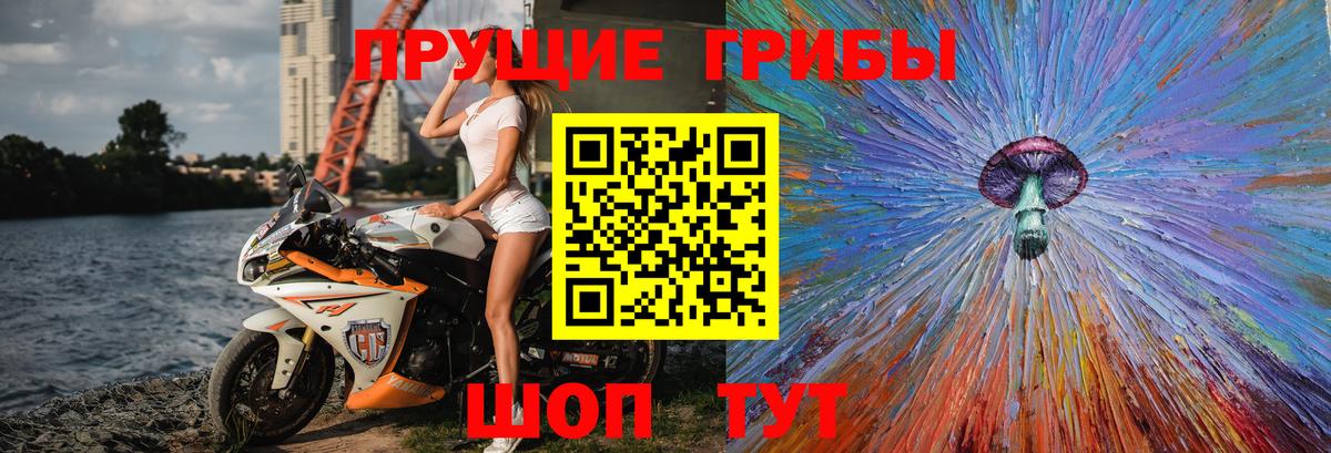 Галлюциногенные грибы прущие грибы Дзержинский